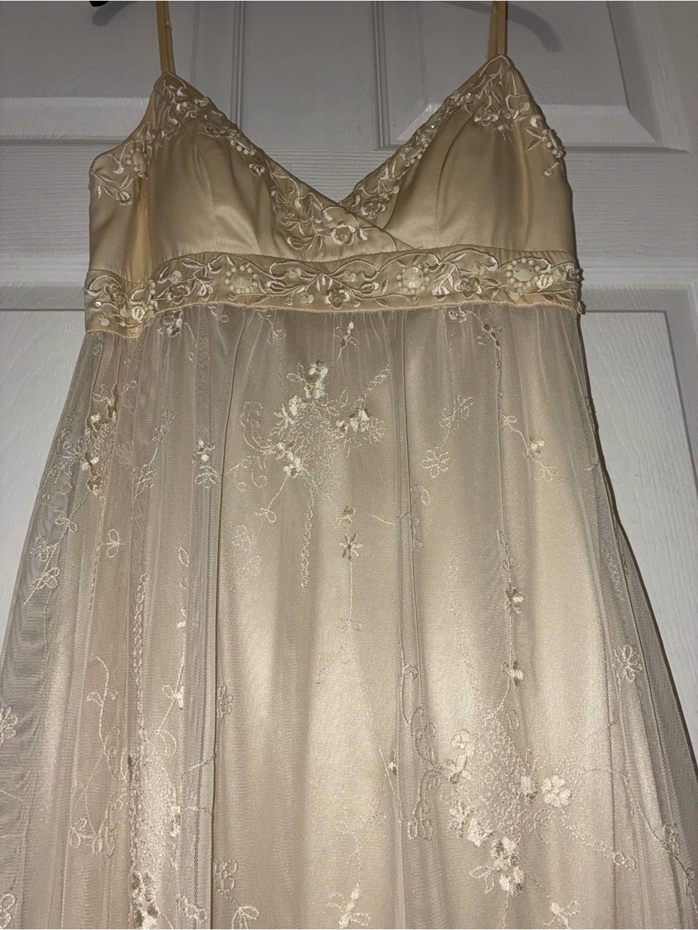 Sue Wong Embellished Champagne Mesh Embroidered Slip Dress - Picture 3 of 13
